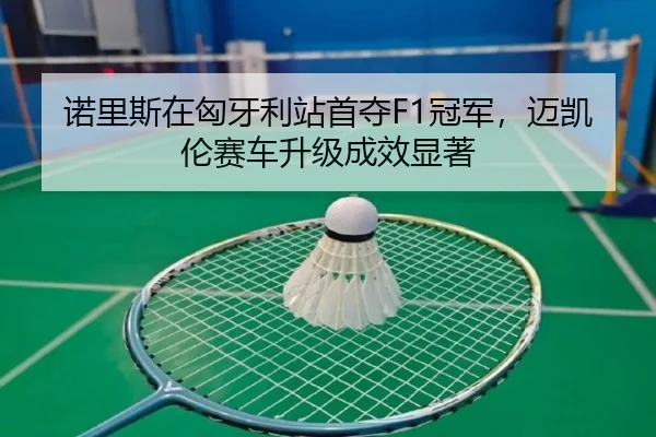nuo-li-si-zai-xiong-ya-li-zhan-shou-duo-guan-jun-mai-kai-lun-sai-che-sheng-ji-cheng-xiao-xian-zhu-3-301.jpg