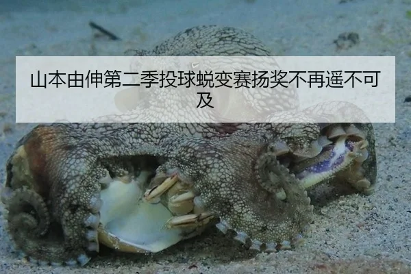shan-ben-you-shen-di-er-ji-tou-qiu-tui-bian-sai-yang-jiang-bu-zai-yao-bu-ke-ji-2-539.jpg