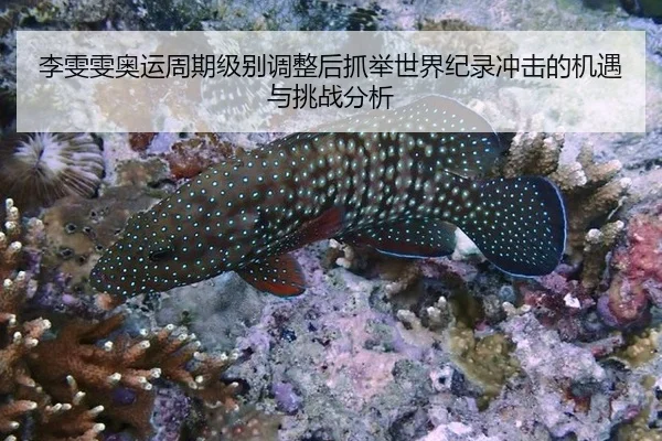 li-wen-wen-ao-yun-zhou-qi-ji-bie-tiao-zheng-hou-zhua-ju-shi-jie-ji-lu-chong-ji-de-ji-yu-yu-tiao-zhan-fen-xi-3-720.jpg
