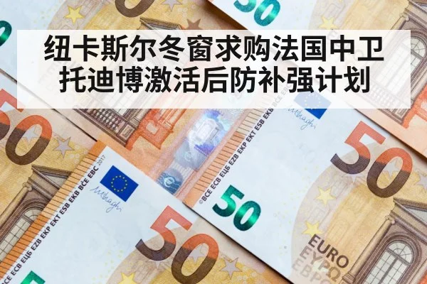 纽卡斯尔冬窗求购法国中卫托迪博激活后防补强计划
